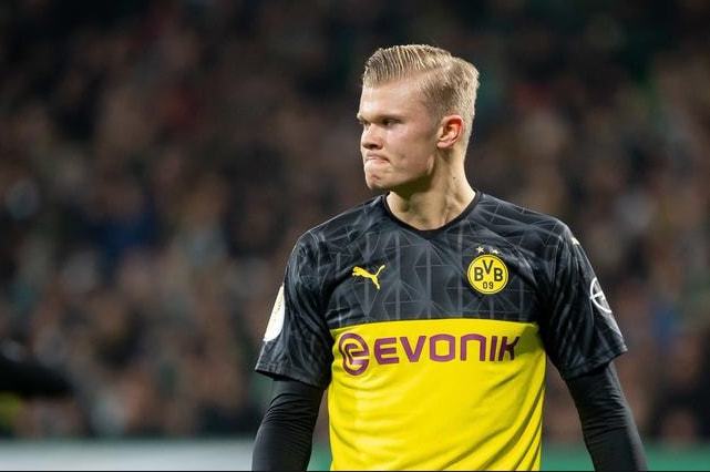 他犹如一道 他犹如一道