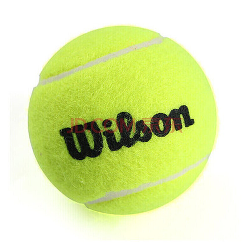 法蒂租借加 法蒂租借加