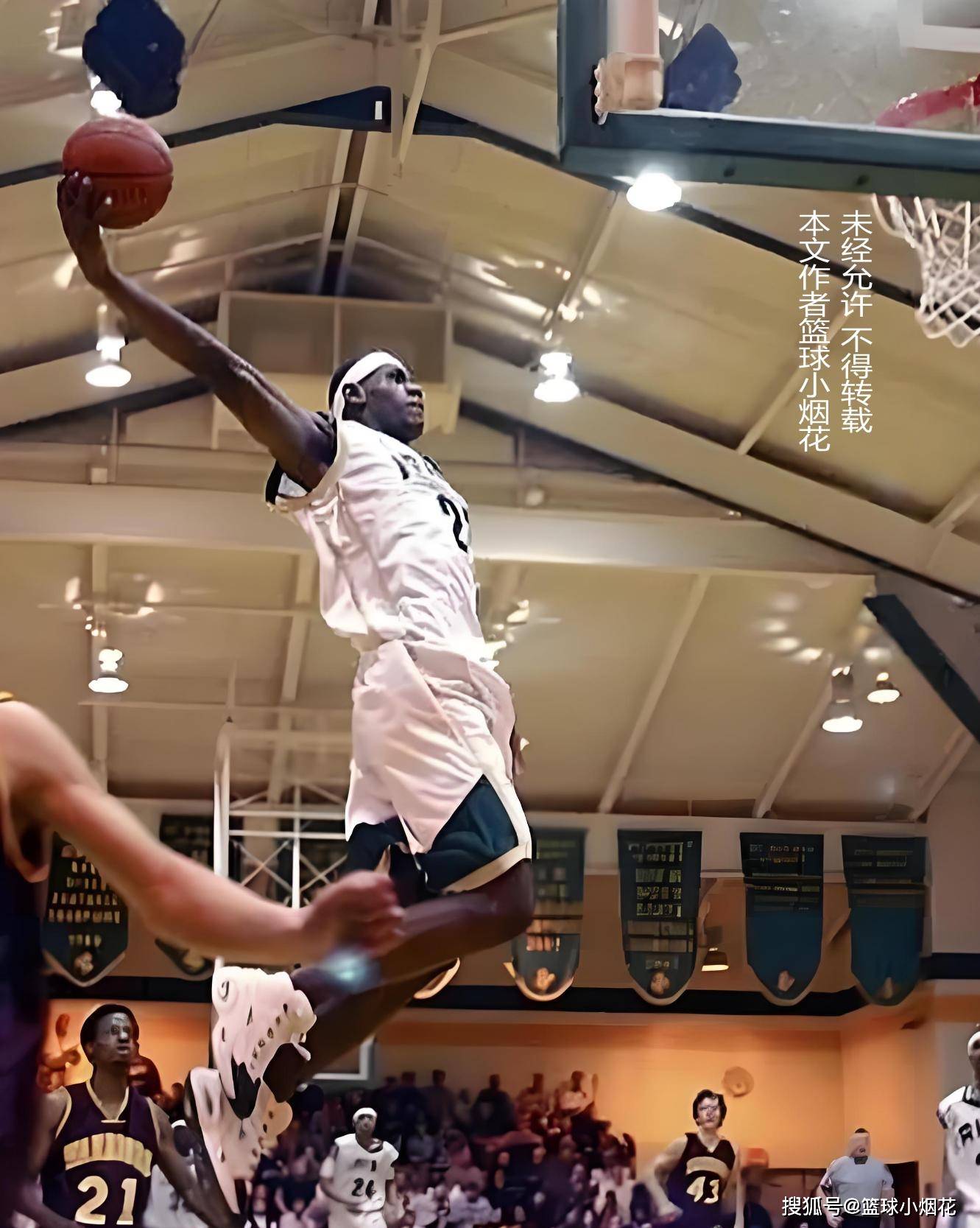 霆与森林狼 霆与森林狼